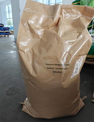 Efficace Ammonium réducteur d'azote poudre brune agent bactérien écologique pour le traitement des eaux usées