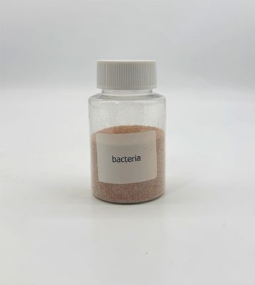 Traitement de l'eau Biobactéries Dégradation des solides en suspension Matère organique poudre brune