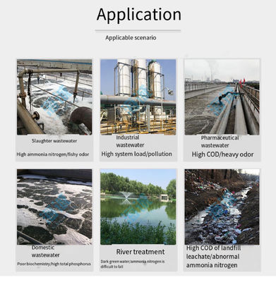 Biobactéries en poudre brune concentrée pour le traitement des eaux usées industrielles