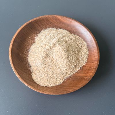 Bactéries nitrifiantes traitement des eaux usées bactéries pour les eaux usées chimiquespurifier la qualité de l'eau