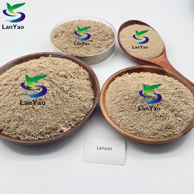 Traitement biologique des eaux usées Bactéries / enzymes / boues actives Bactéries aérobes dans le traitement des eaux usées