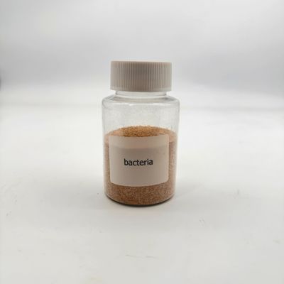 Non toxique Traitement de l'eau respectueux de l'environnement Biobactéries Haute concentration pour la réduction des polluants organiques
