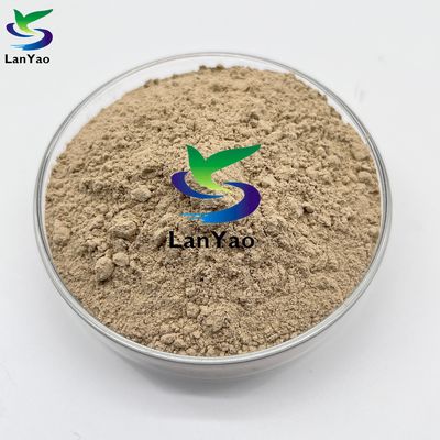 Biobactéries nitrifiantes Bactéries efficaces de traitement des eaux usées