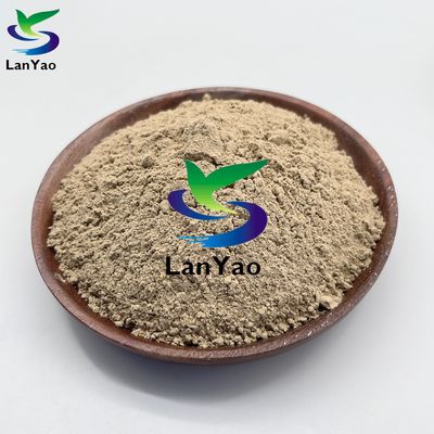 Biobactéries pour la purification biochimique de l'eau