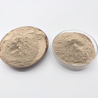 Poudre de bactéries biologiques certifiée OHSAS 18001 pour le traitement de l'eau pour une plage de pH de 6,5 à 8,5 et des performances