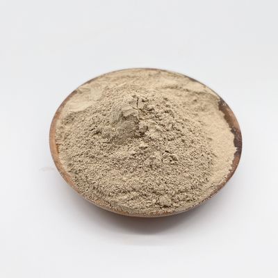 Purification biochimique de l'eau avec des bactéries biologiques et certification ISO 14001 Une combinaison gagnante