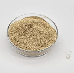 Traitement de l'eau Poudre de bactéries biologiques Performance fiable et durable