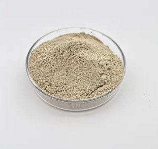 Traitement de l'eau Poudre de bactéries biologiques Performance fiable et durable