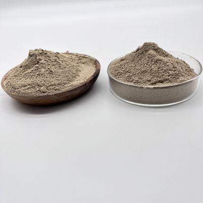 Conserver dans un endroit frais et sec Traitement de l'eau à haute concentration Biobactéries pour la couleur brune et le stockage