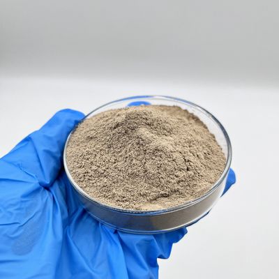 Traitement efficace de l'eau Les bactéries biologiques Les nitrifiants en poudre