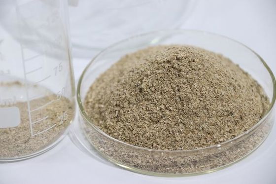 Traitement de l'eau à haute concentration Des bactéries biologiques en poudre